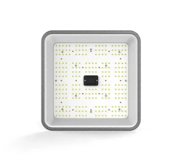 ortoled-quantum-full-cycle-60w-2-7-60w-samsung (4).webp