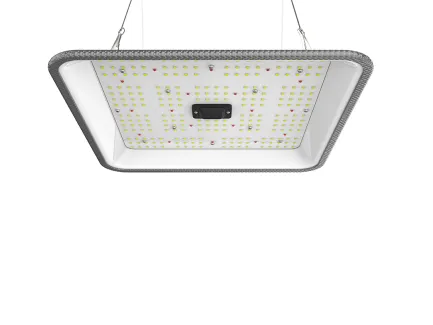 ORTOLED Quantum Full Cycle 2.7 µmol/J | Lampada LED Full Spectrum | 60W Samsung