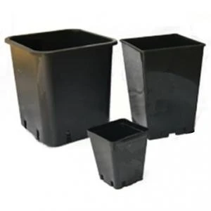 Vaso Quadro 13x13x17 cm | 2L